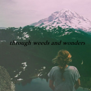 through weeds and wonders