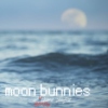 moon bunnies