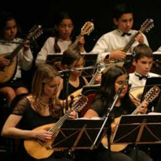 Mando Orchestras