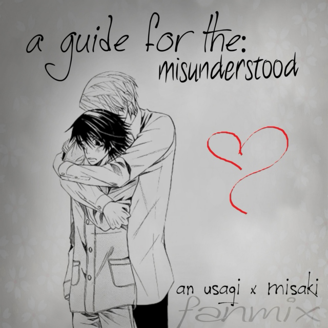 a guide for the:  misunderstood  //  an usagi x misaki fanmix