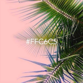 #FFC6C5