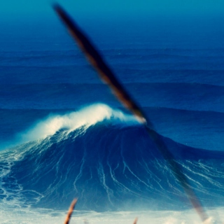 Surfy Surfy 84
