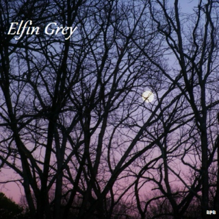 Elfin Grey