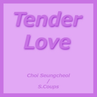 Tender Love - S.Coups