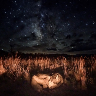 Sleeping Under The Stars Vol. 3