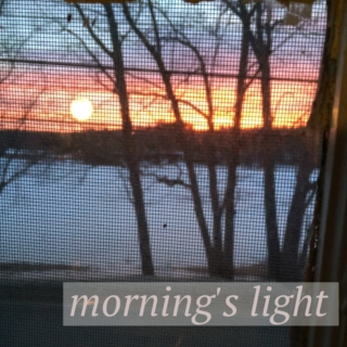 morning's light