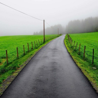 A Long Misty Road ☔