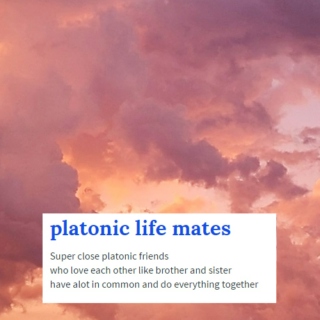 platonic life mates