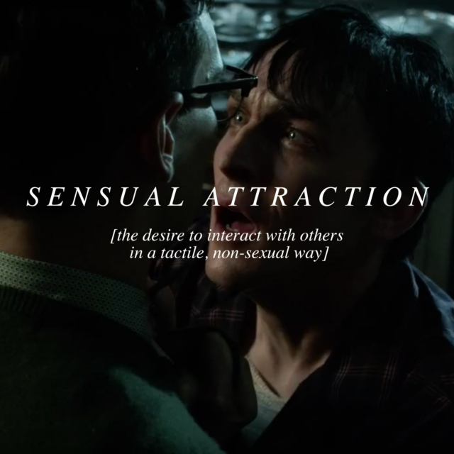 Sensual Attraction 