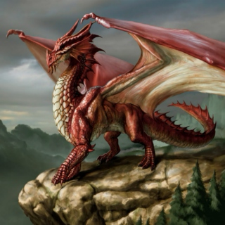 Perspicacious Dragon of Welkin