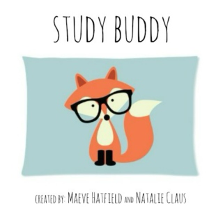 study buddy 