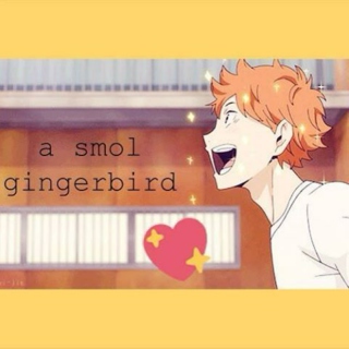 A Smol Gingerbird
