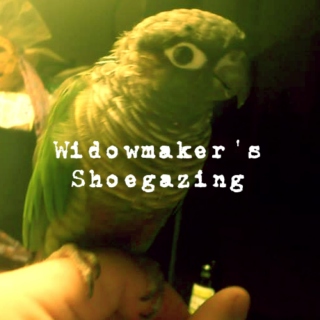 Widowmaker's Shoegazing 