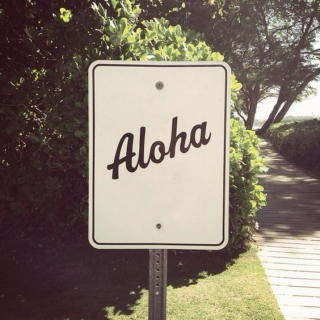 hawaii is always a good idea;
