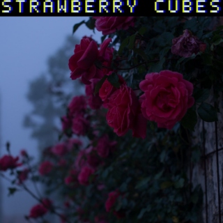 STRAWBERRY CUBES 