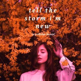 tell the storm i'm new