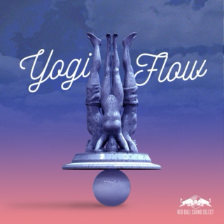 Yogi Flow