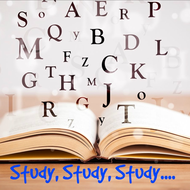 Study study study