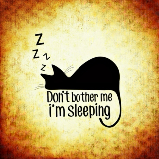 Don't bother me, i'm sleeping...