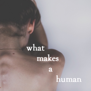 What makes a Human