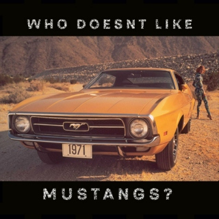 who doesnt like mustangs? 