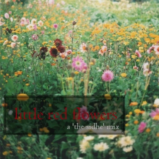 little red flowers (a THE SIDHE mix)