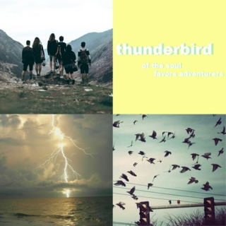 ⚡ thunderbird ⚡