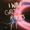 I Will Grow Roots