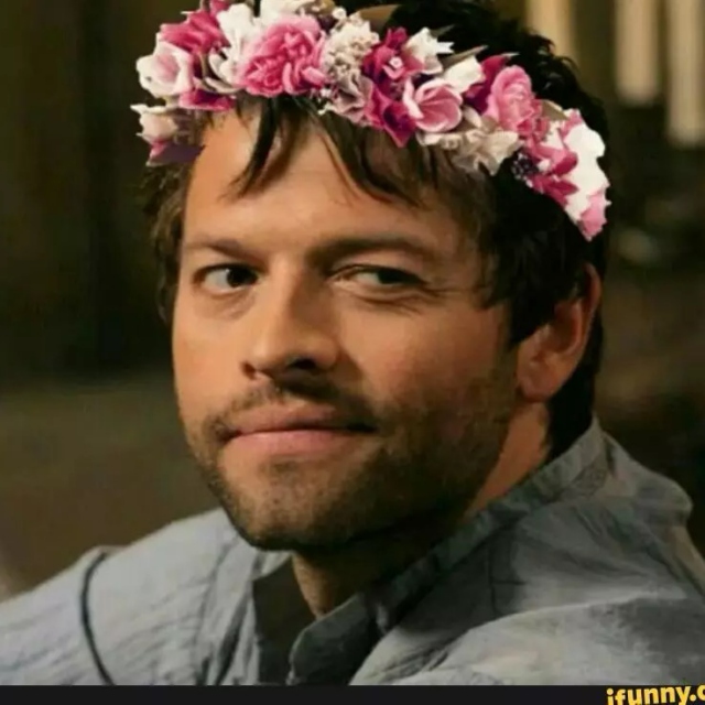 Misha Collins, our overlord