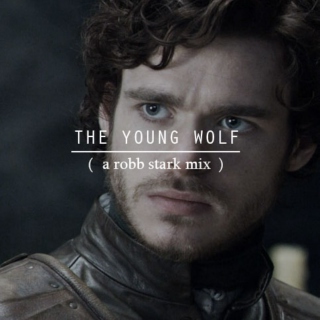 the young wolf