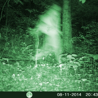 TOP 10 MYSTERIOUS BLURS CAUGHT ON MY GRANDFATHER'S BACKYARD TRAIL CAM