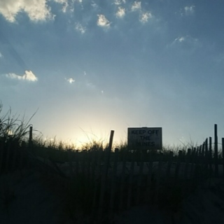 keep off the dunes