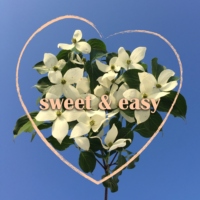 sweet and easy