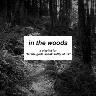 in the woods