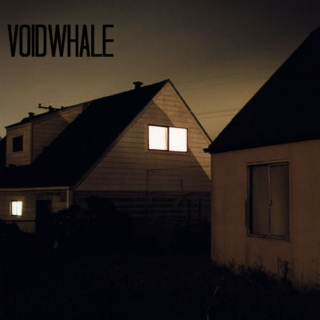 voidwhale