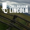 Chillbraham Lincoln
