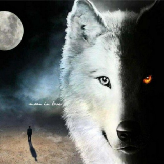 Wolf at Heart