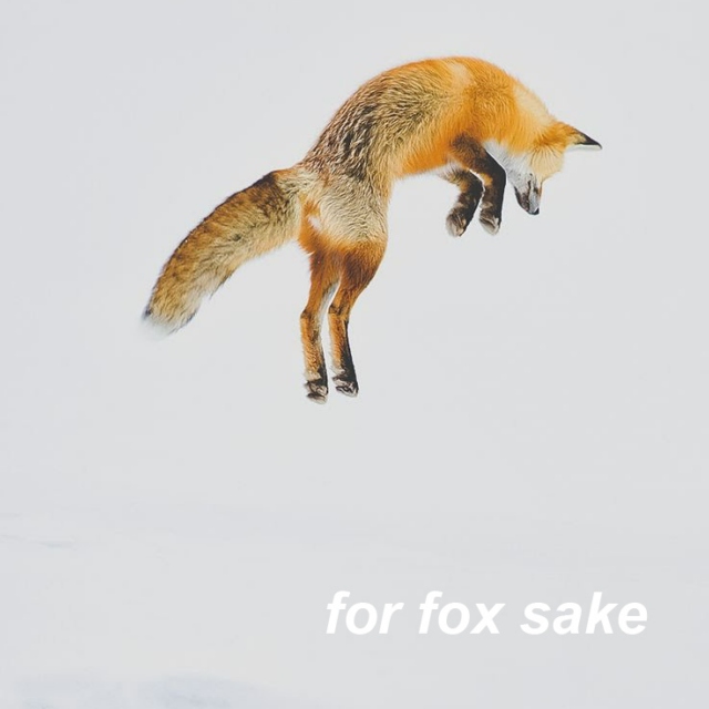 for fox sake 