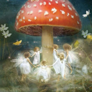 within the fairy ring