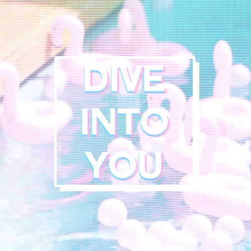 dive in