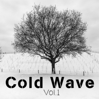 Cold Wave Vol.1