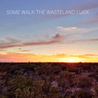 some walk the wasteland fuck