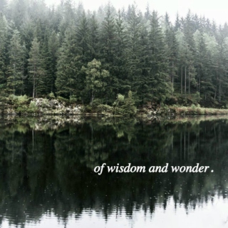 of wisdom & wonder