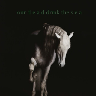 our dead drink the sea
