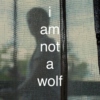 i am not a wolf - a sicario fanmix