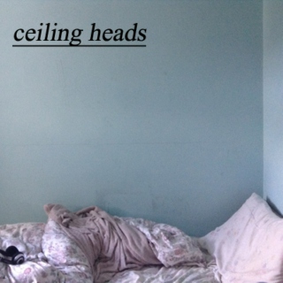 ceiling heads
