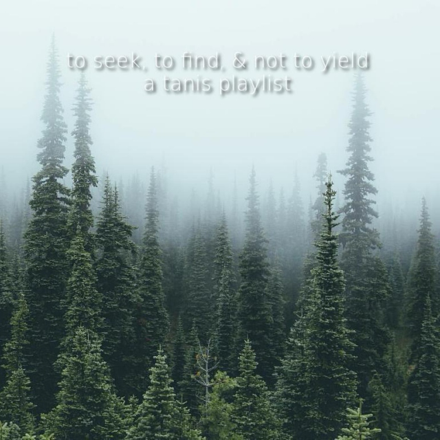 to seek, to find, and not to yield