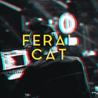FERAL CAT