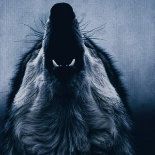dread wolf take you