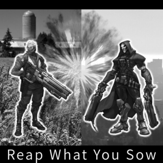 Reap What You Sow - Reaper76